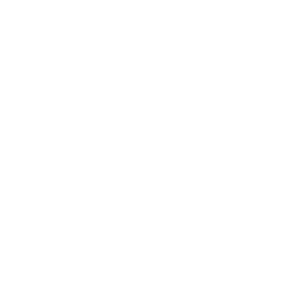 Customs by My